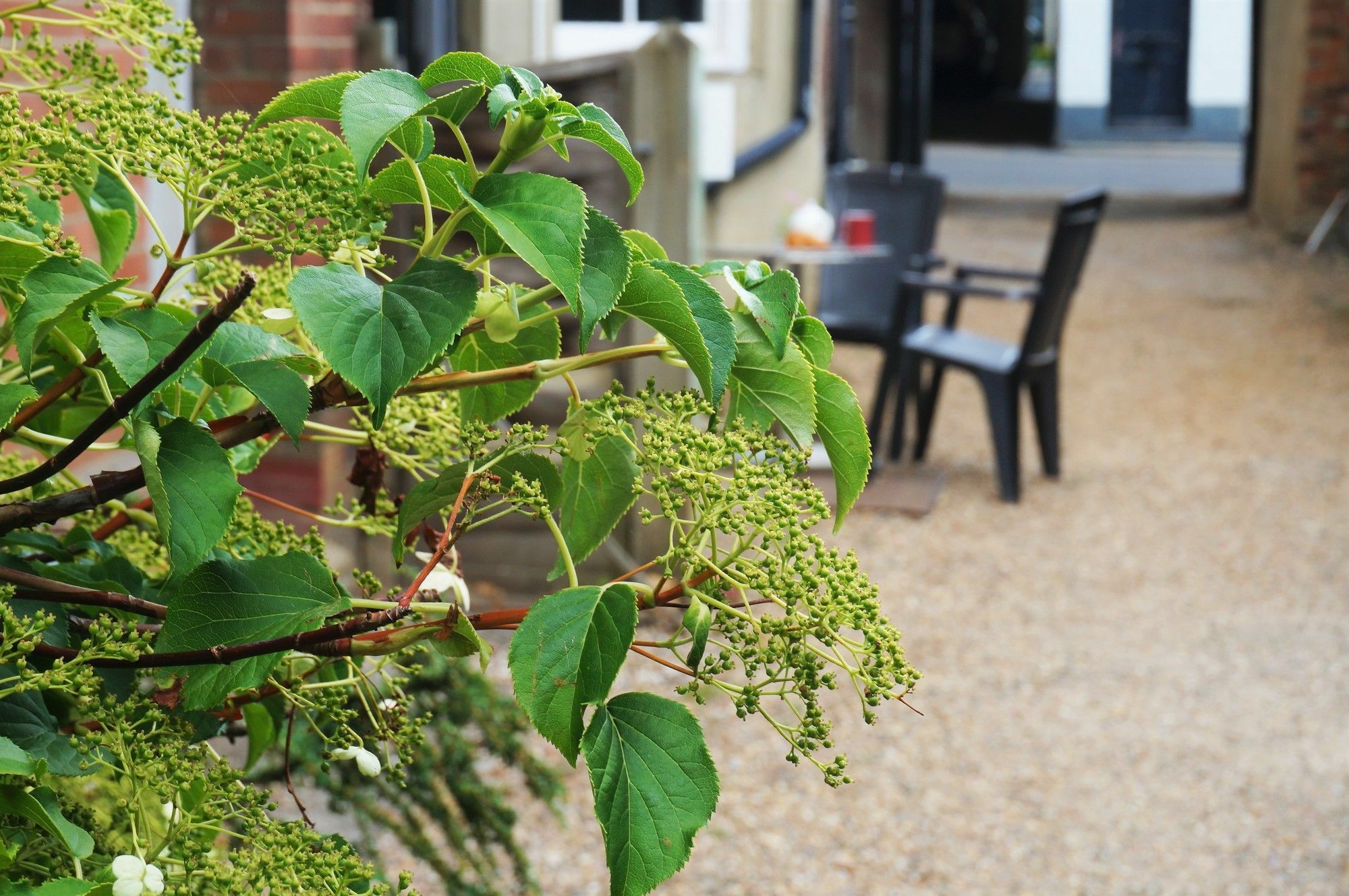 Greyfriars Guest house Canterbury